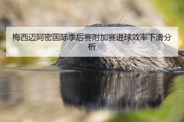 mei-xi-mai-a-mi-guo-ji-ji-hou-sai-fu-jia-sai-jin-qiu-xiao-lv-xia-hua-fen-xi-2-147.jpg